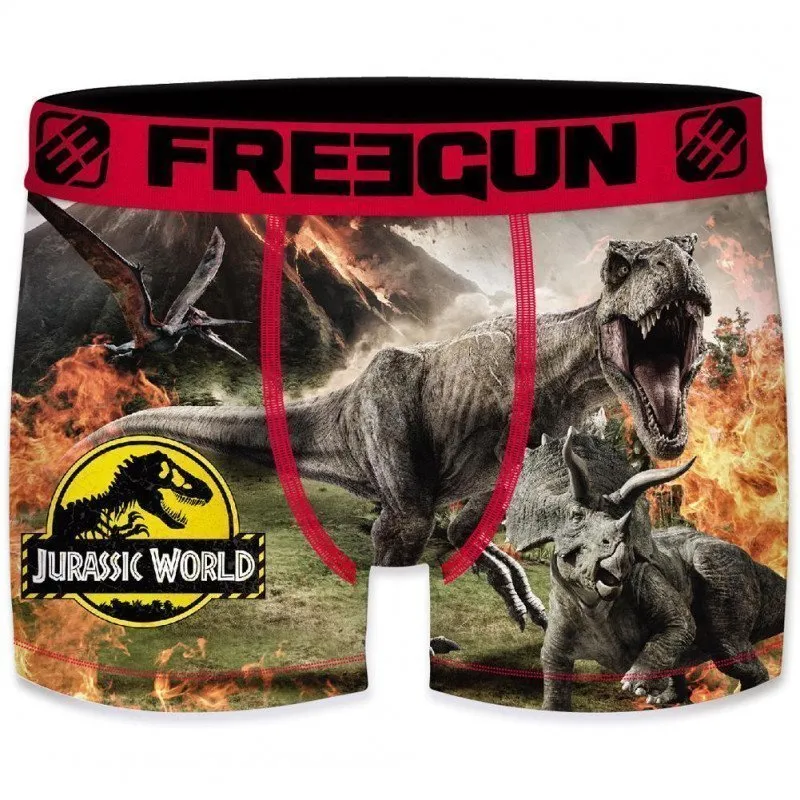 FREEGUN Boxer Homme Microfibre FLK Gris Rouge UNIVERSAL
